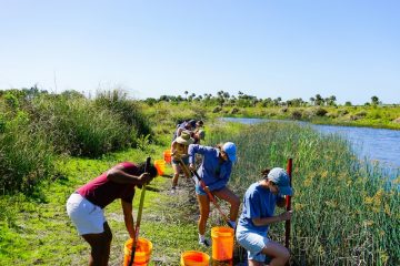 A group of volunteers by a riverside, working on the reeds and other plants